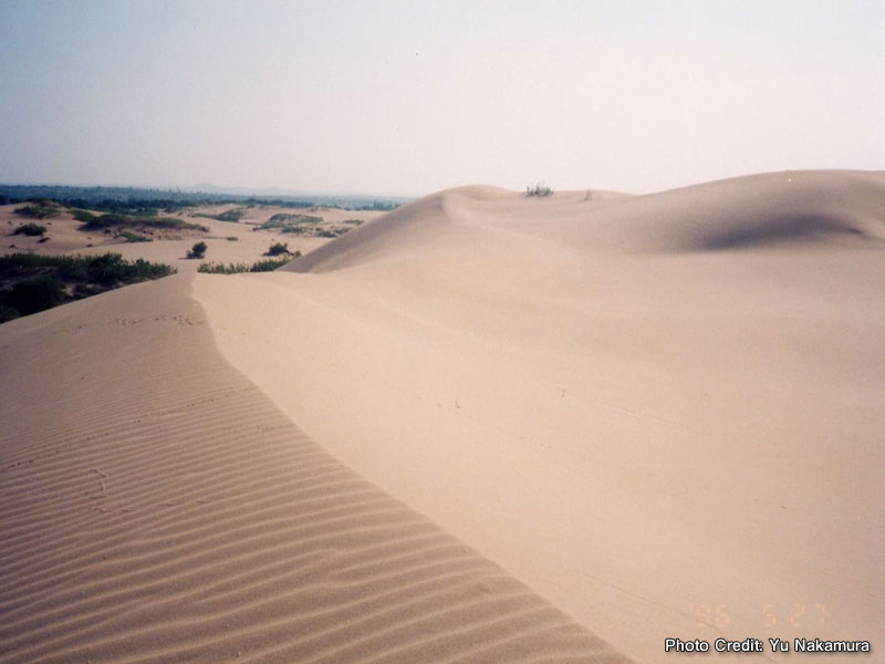 desertification01.jpg
