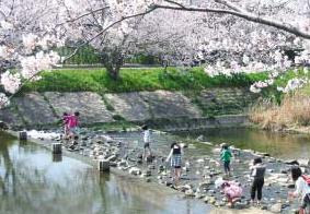 池田川の風景