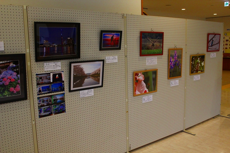 はたえ館ロビー展2