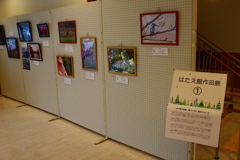 はたえ館ロビー展3