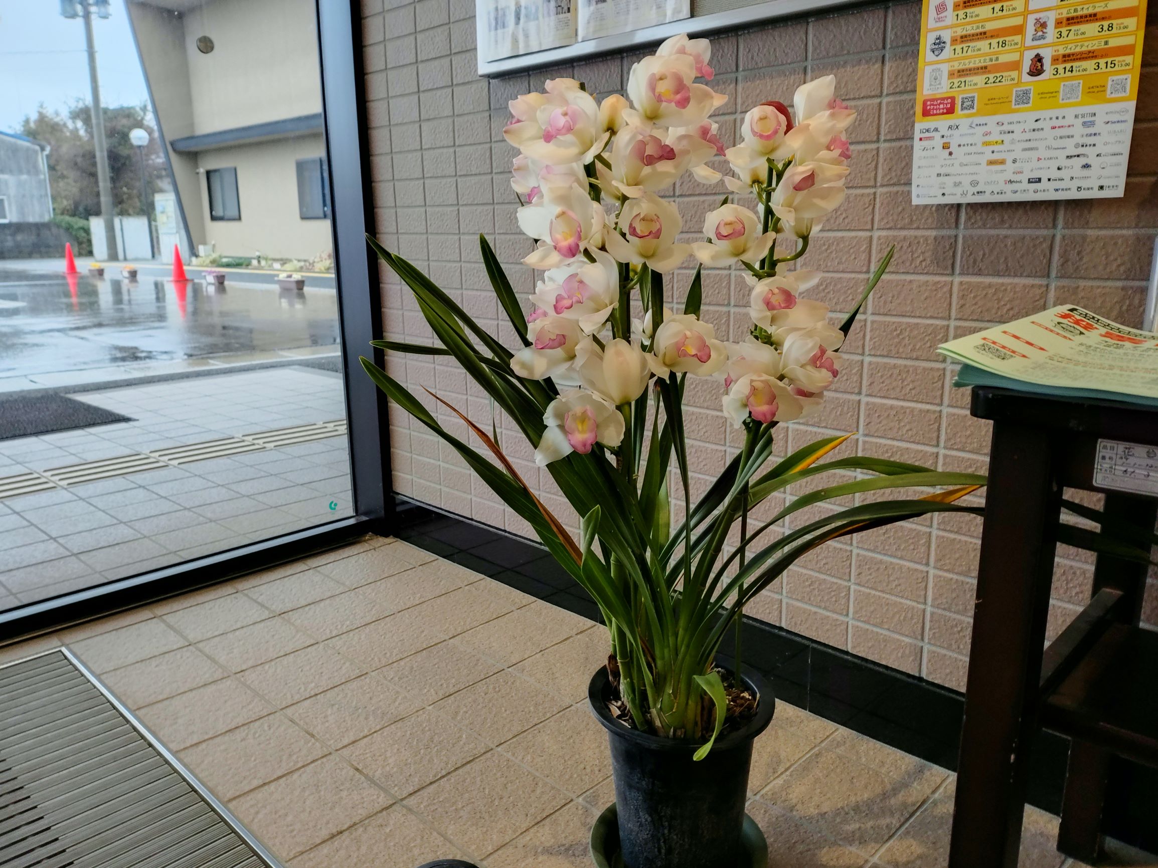 R8ロビー花1月５