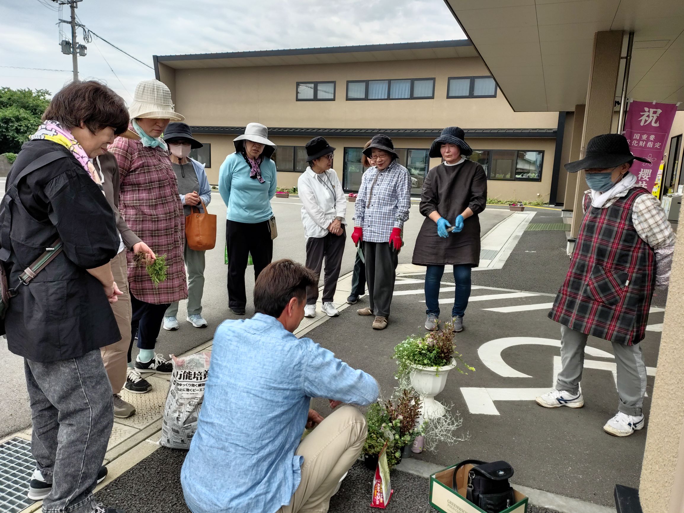 6月花壇２