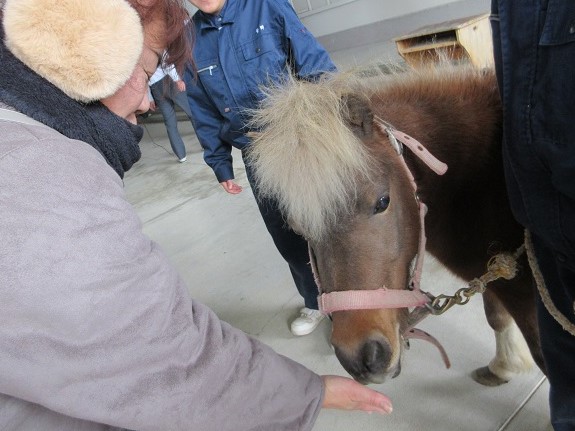 R080121ペンギン糸農3