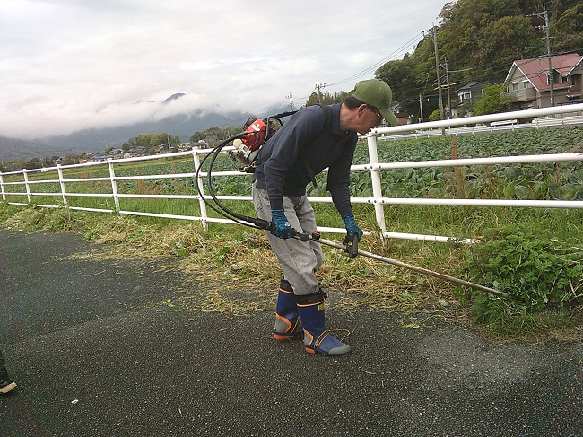 花いっぱい運動の写真