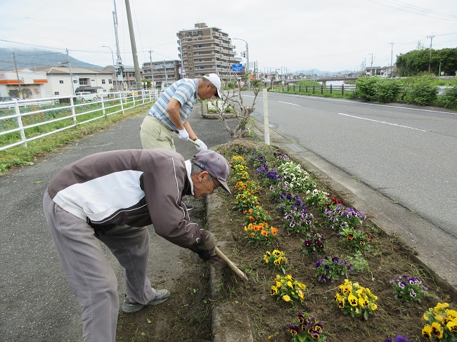 花いっぱい運動の写真