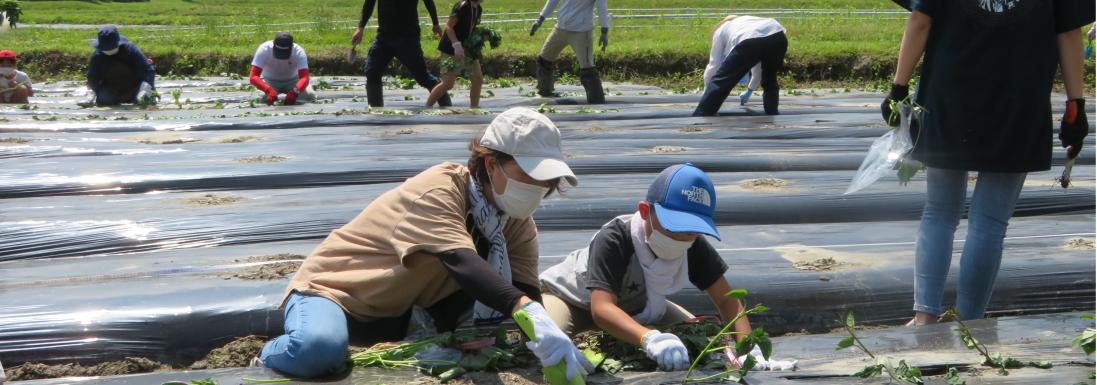 あじさい館トップ７