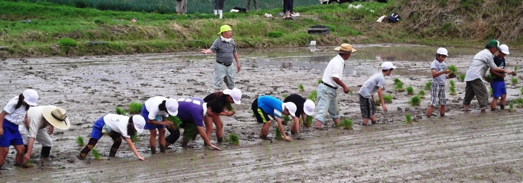 雷山公民館トップ画像5