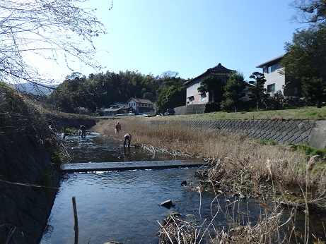 瑞梅寺川クリーンアップ④