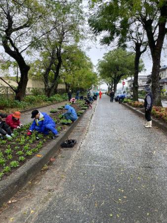 11月　せんだん花植え①