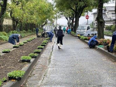 11月　せんだん花植え②