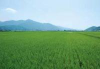 一貴山校区の風景