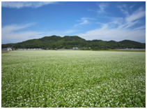 田園風景