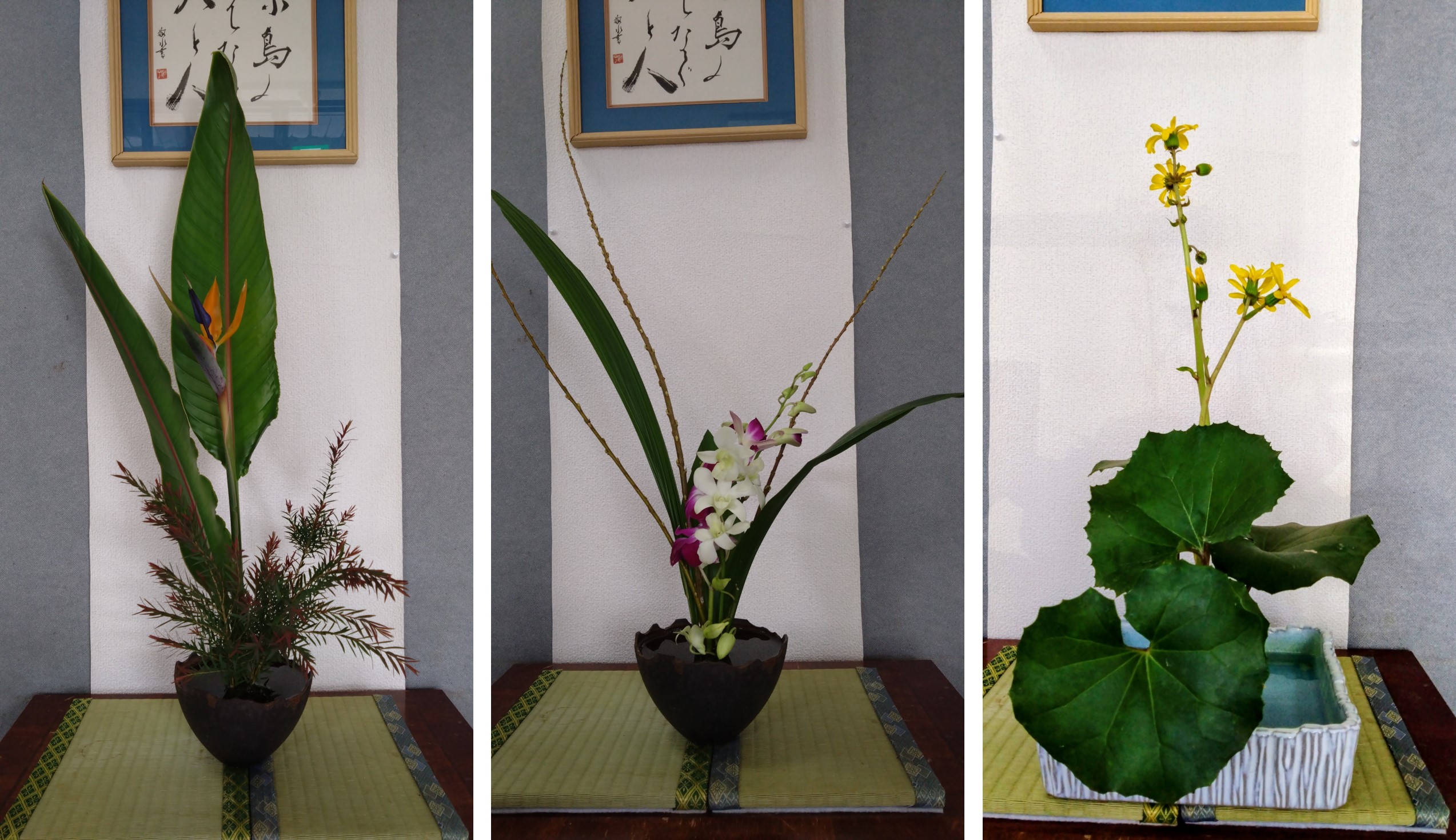 2025年11月の生け花