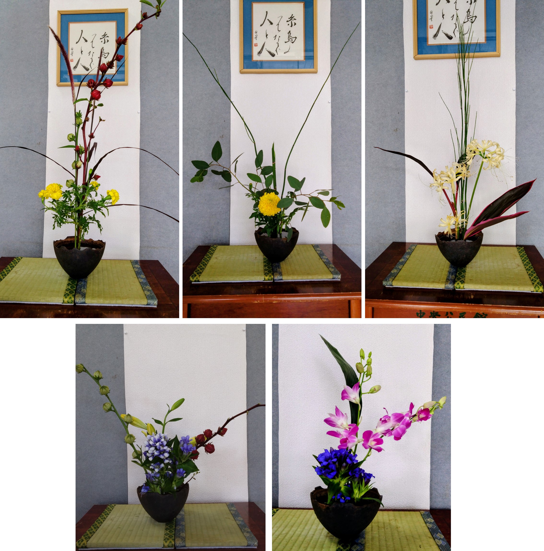 2025年10月の生け花