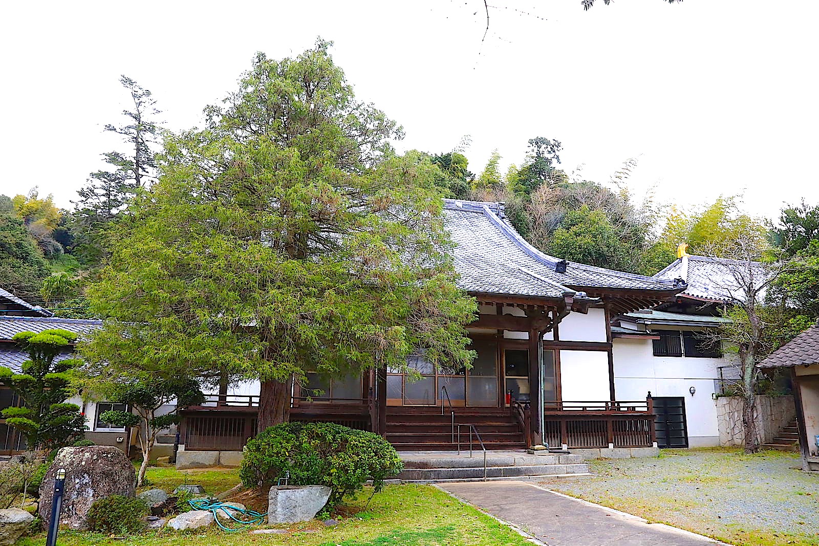 蓮照寺2