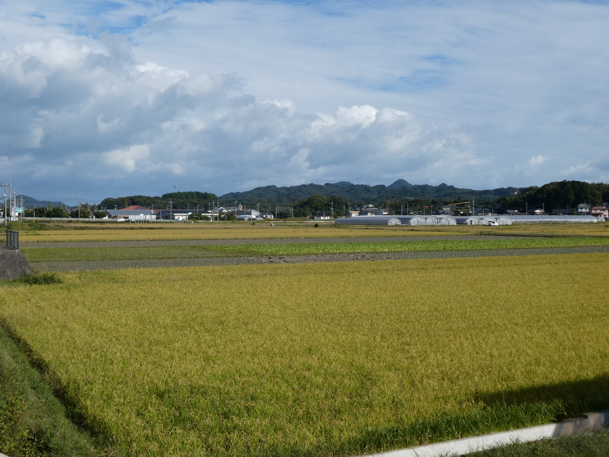 龍念開2