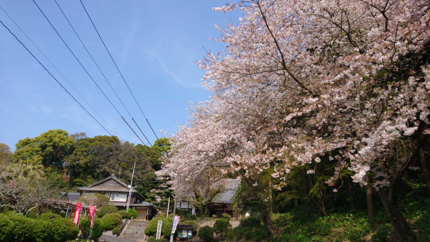 松隈　長音寺