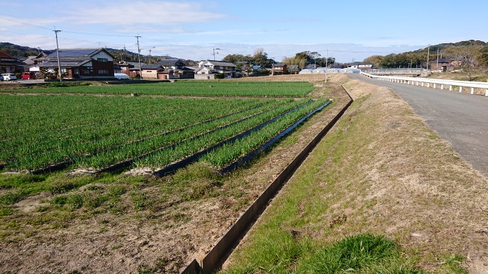 井田原　広がる農地