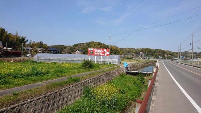 松隈　一蘭の看板