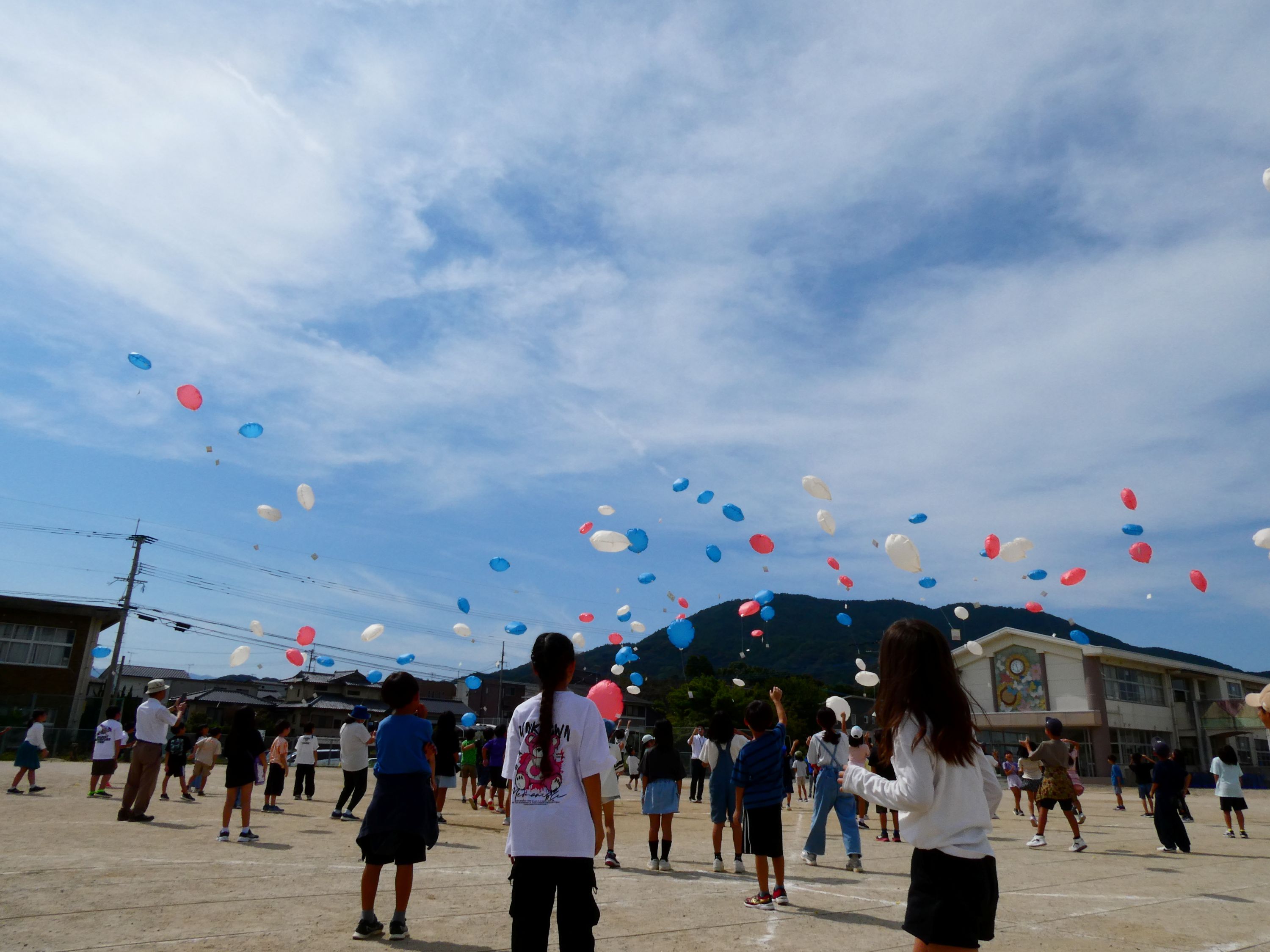 07　ひまわり種飛ばし