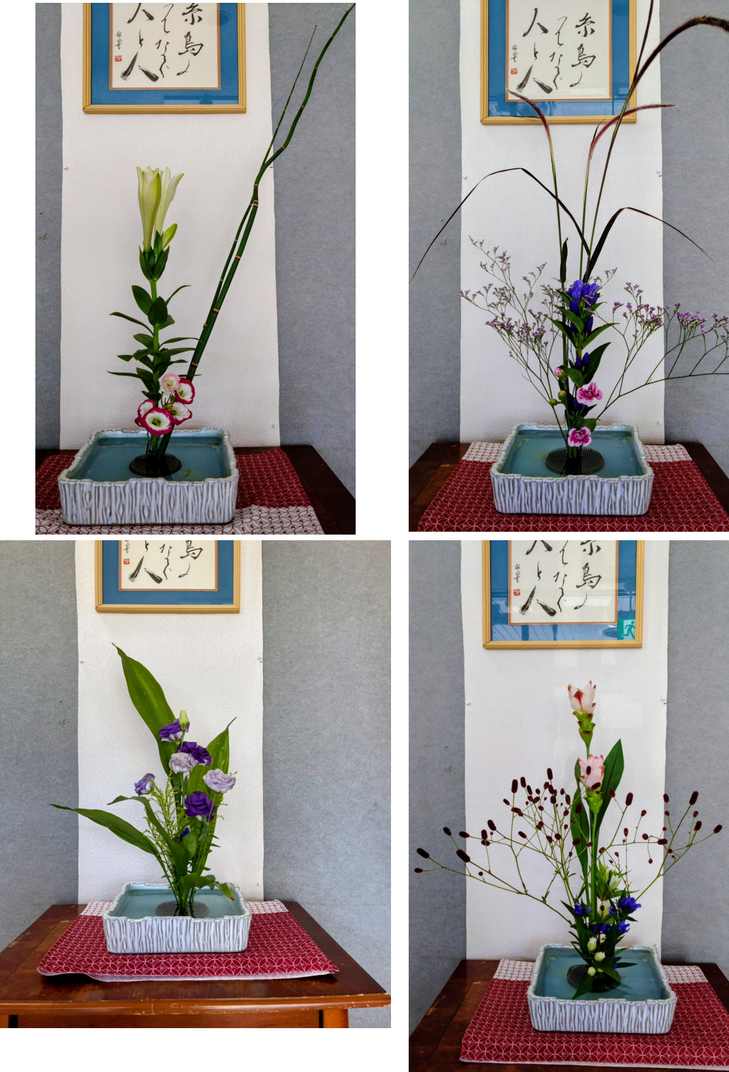 2026年8月の花