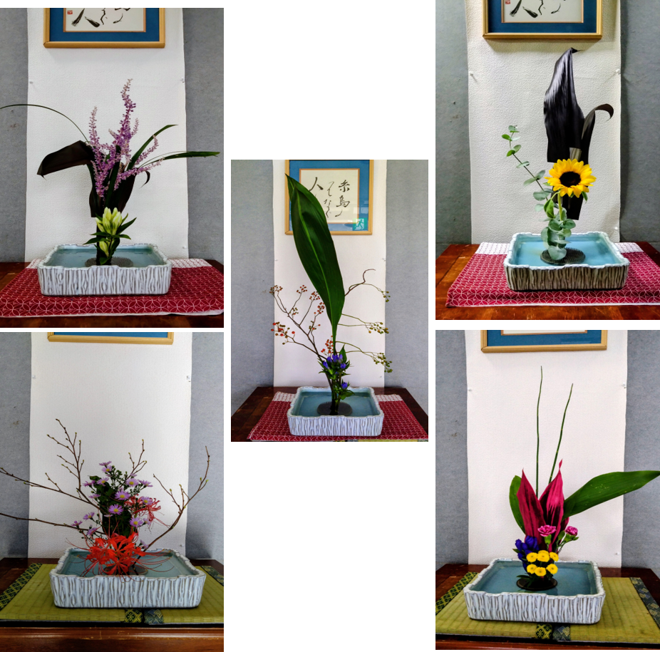 2026年9月の花