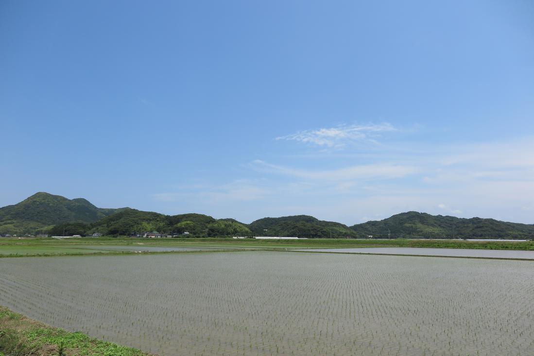 令和2年　桜野アルバム　6月号