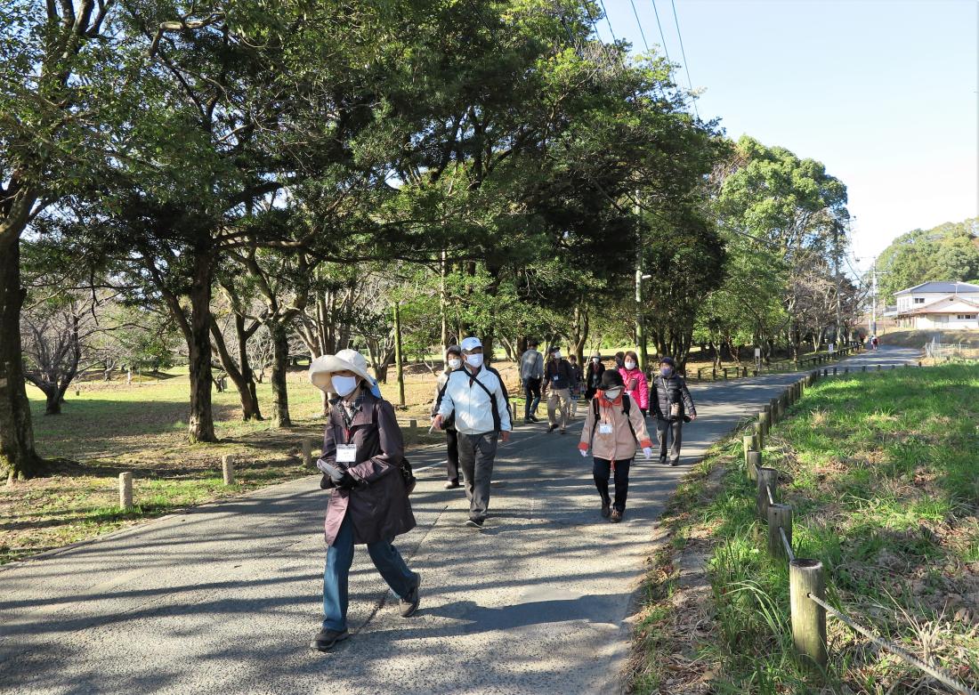 歴史の散歩道の画像