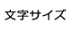 文字サイズ