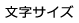 文字サイズ