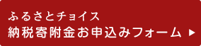 ふるさとチョイス 納税寄附金お申込みフォーム