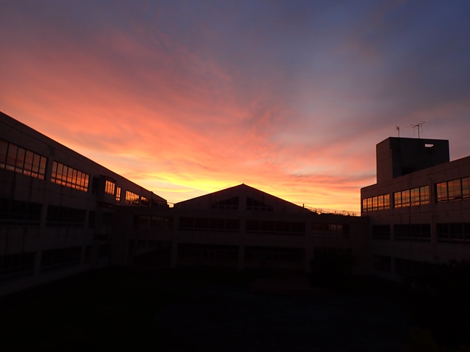 0825nakaniwa.jpg