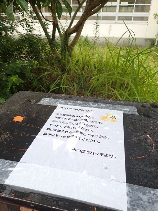 0911mitsubati1.jpg