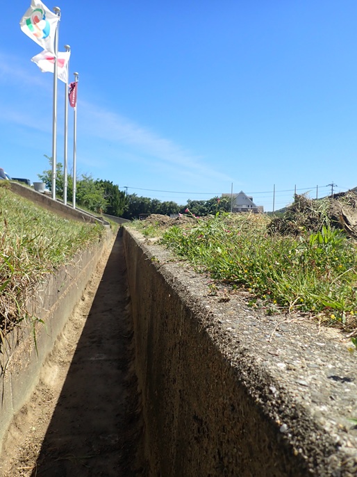 0509_seibi2.jpg