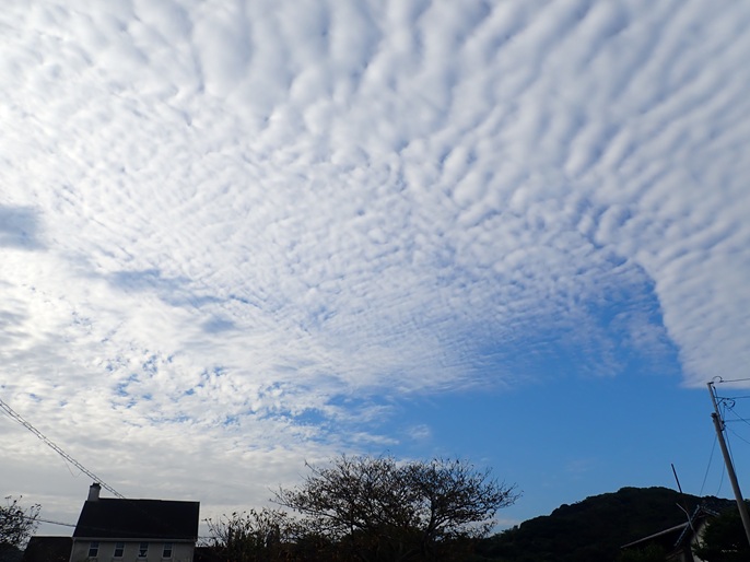 1001_akihiyama.jpg
