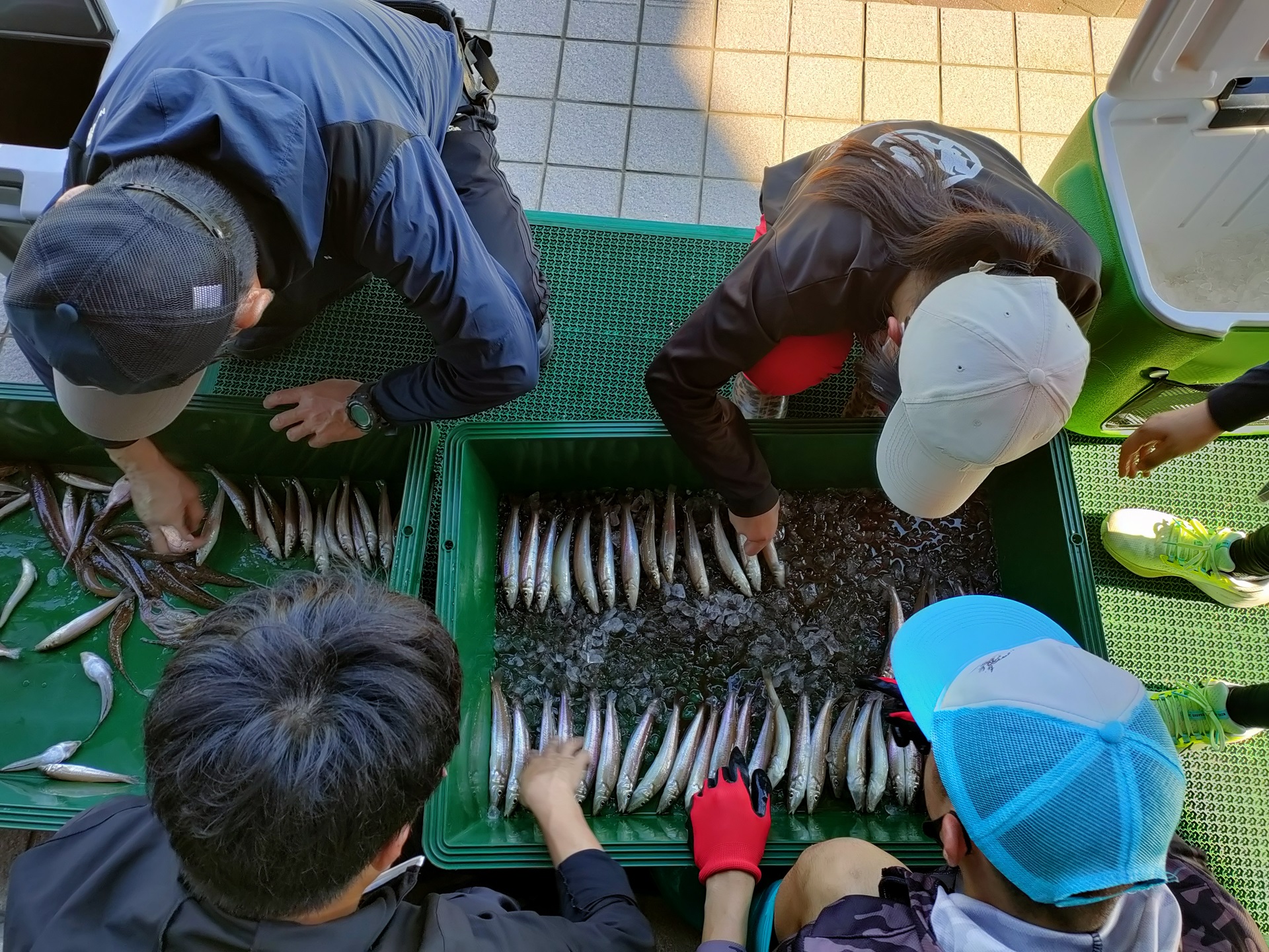 0704sakana1.jpg