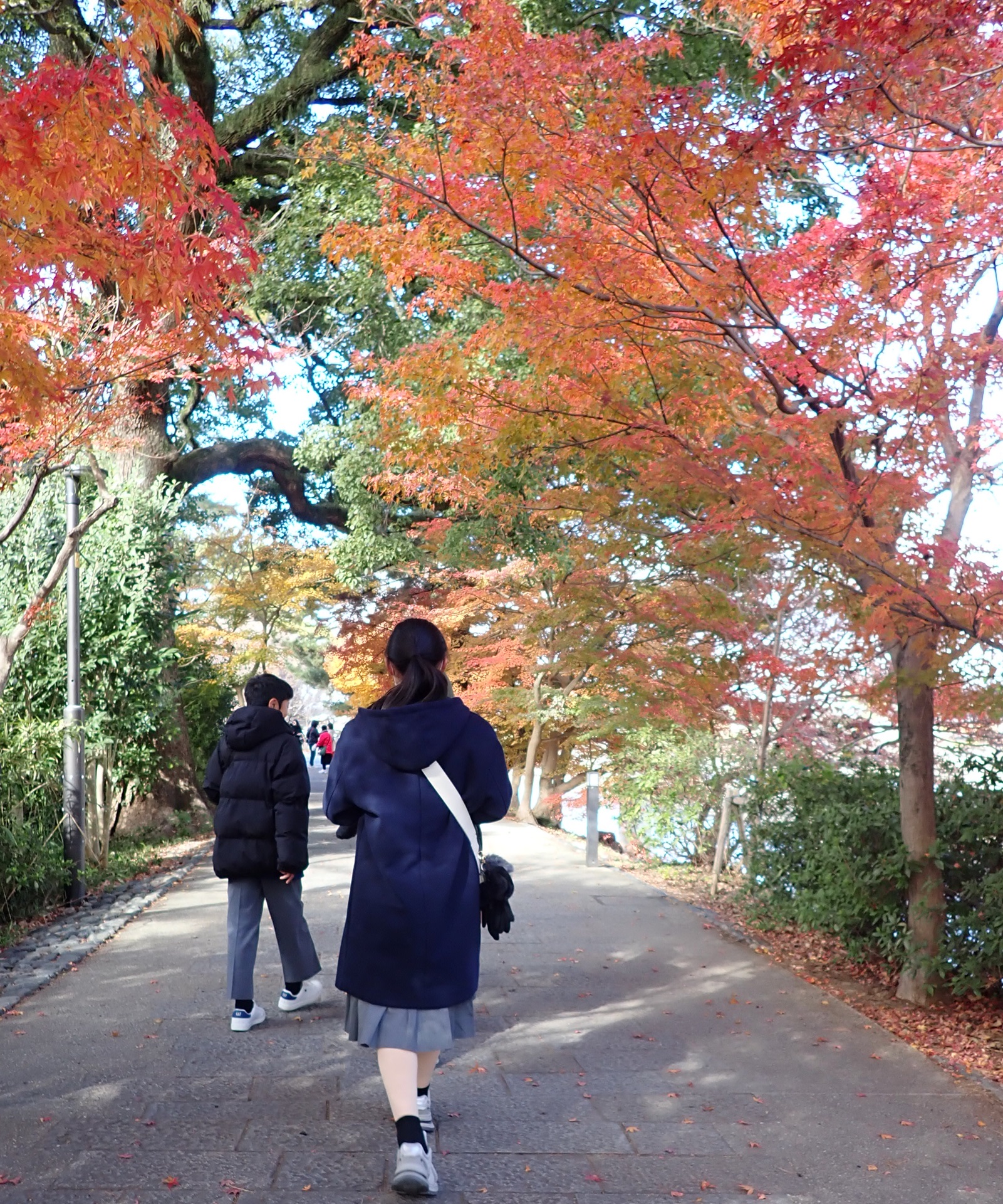 1219syugakuryokou1.JPG
