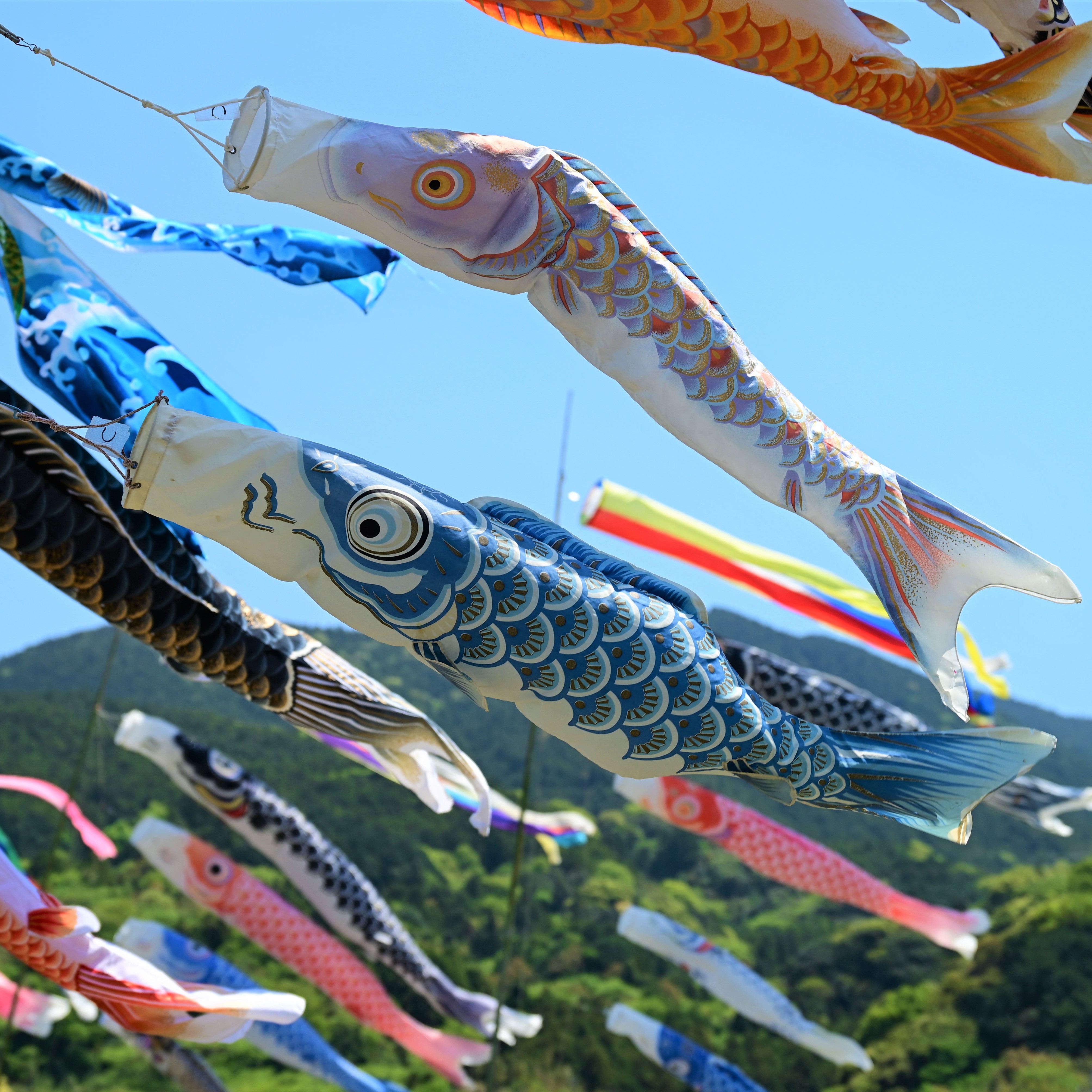 ""の画像
