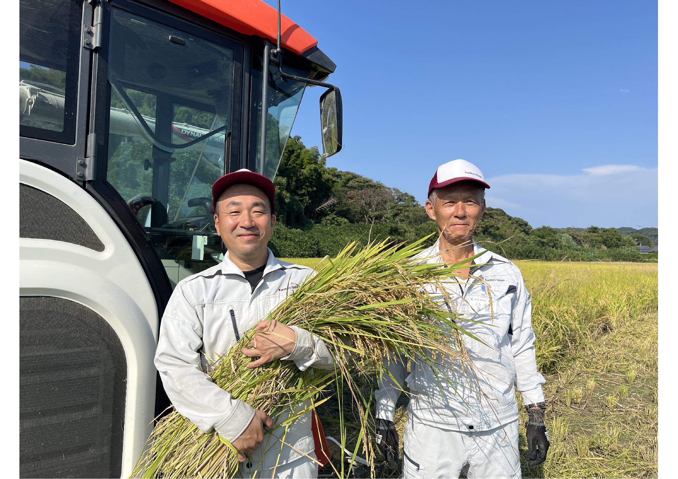刈りたての稲を大事に抱える