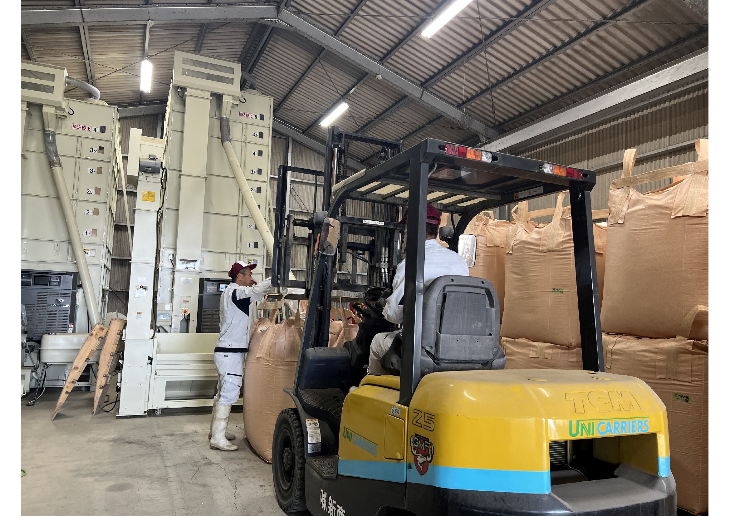 乾燥機で籾を水分30%から16%にする