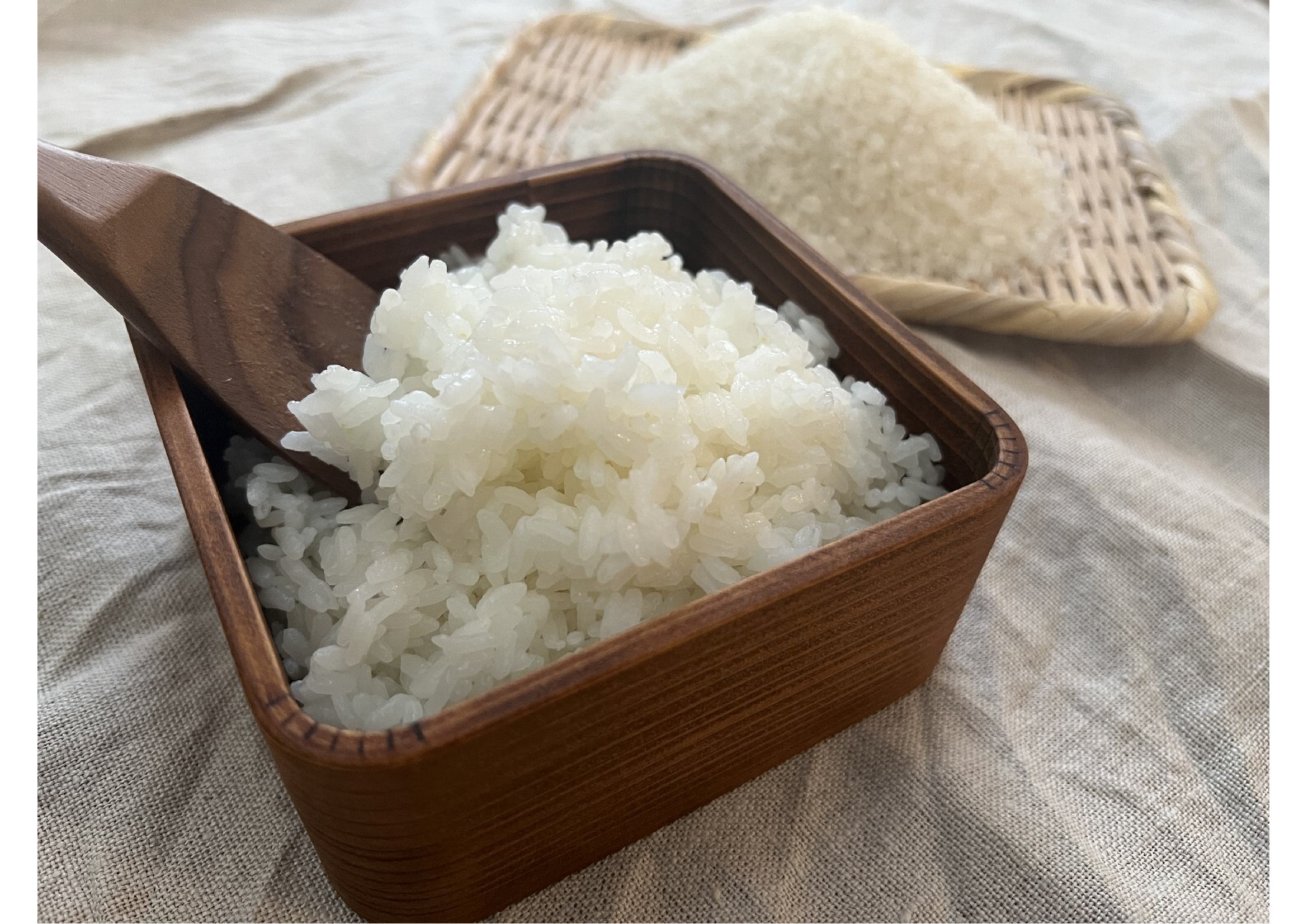 みずみずしく光沢のある土の恵み農園の新米