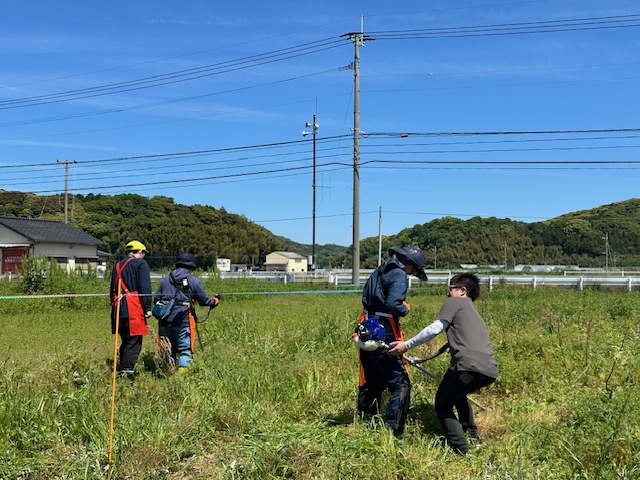草刈りワークショップ過去の様子3
