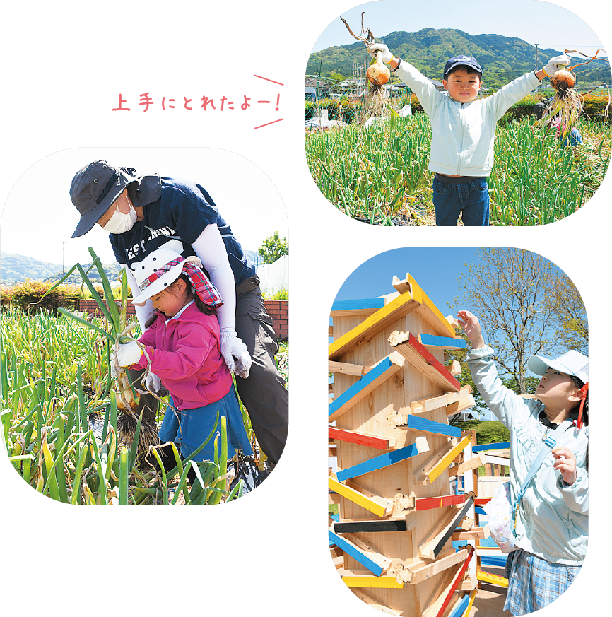 農林祭の様子