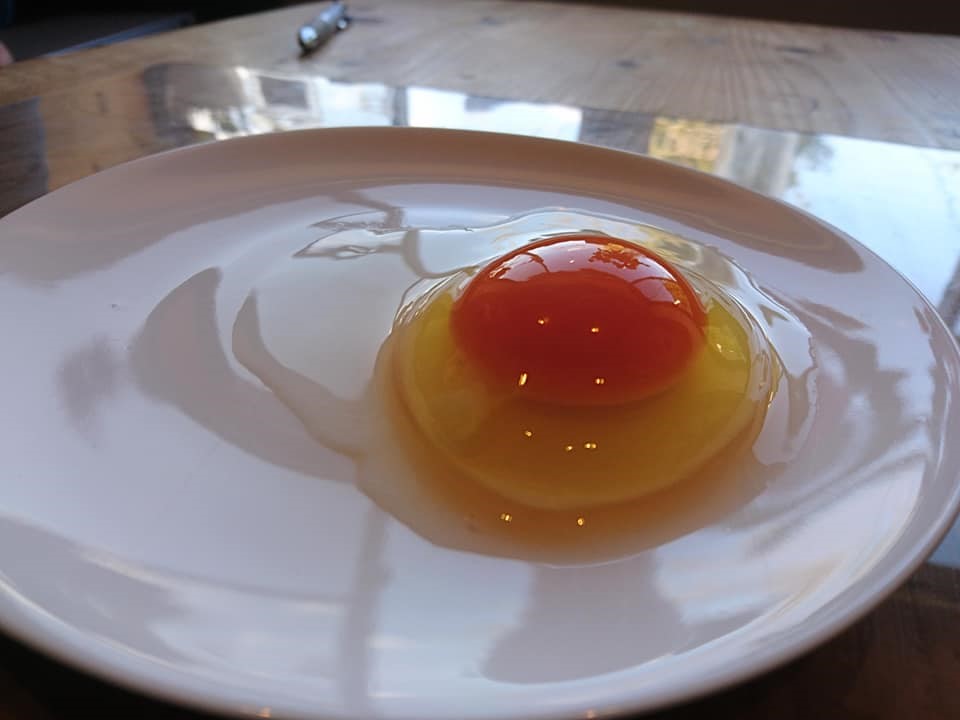 tamago.jpg