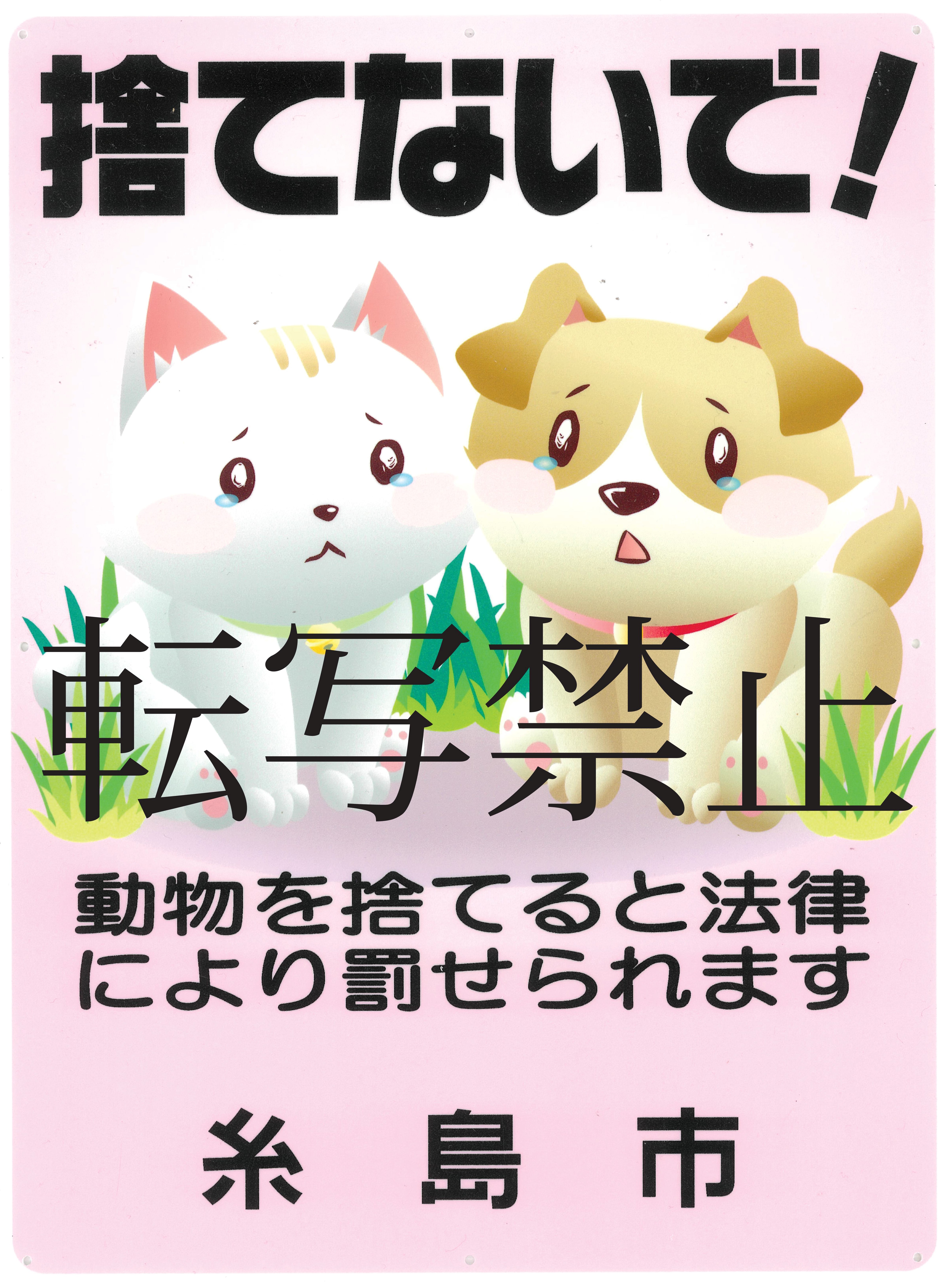 neko3.jpg