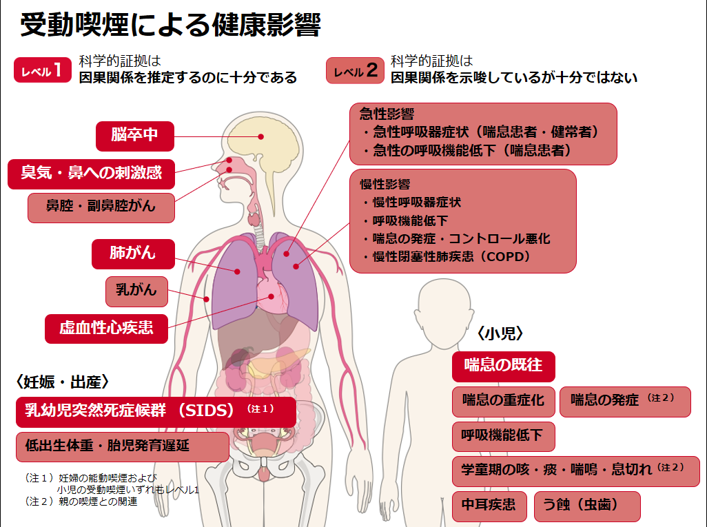 受動喫煙による健康影響