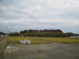 糸島東ふれあい農園