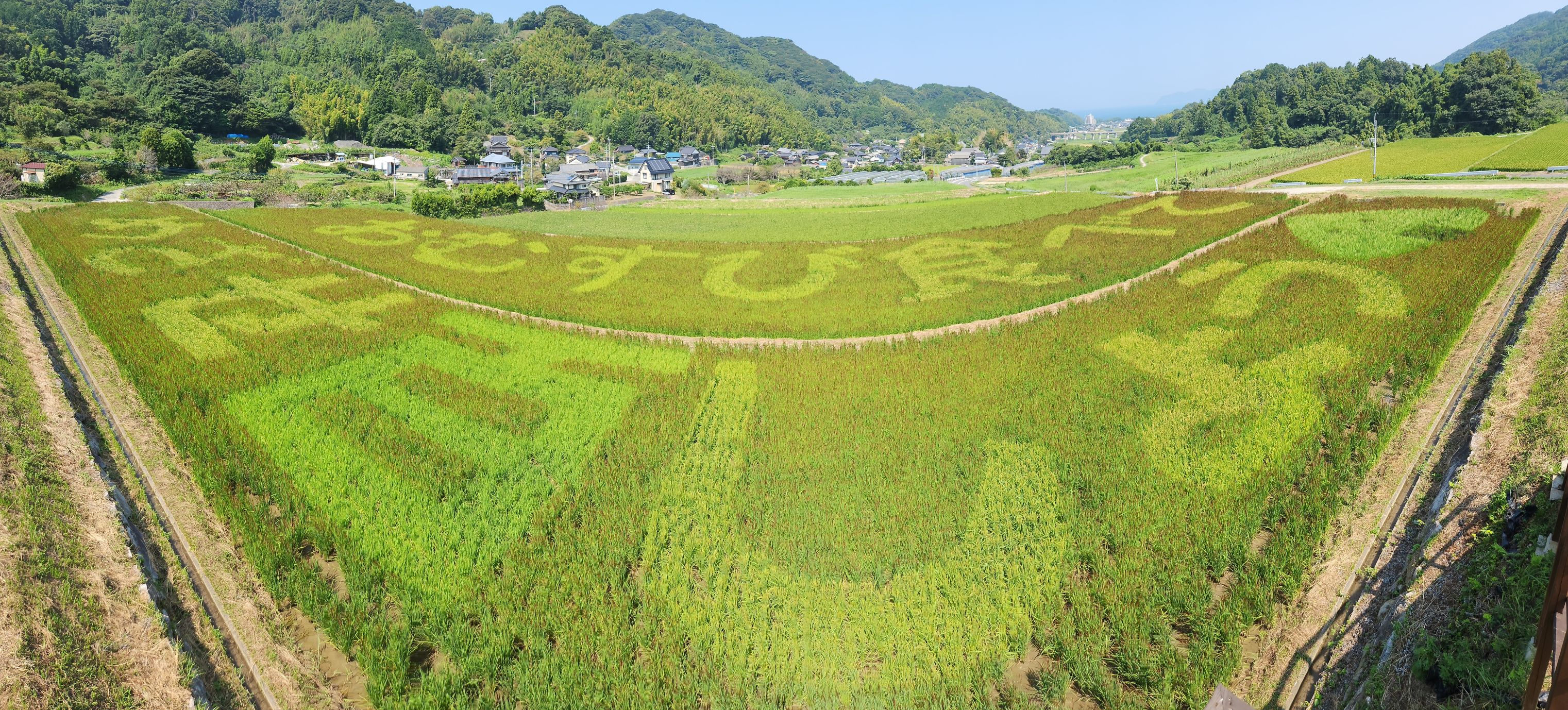 の画像