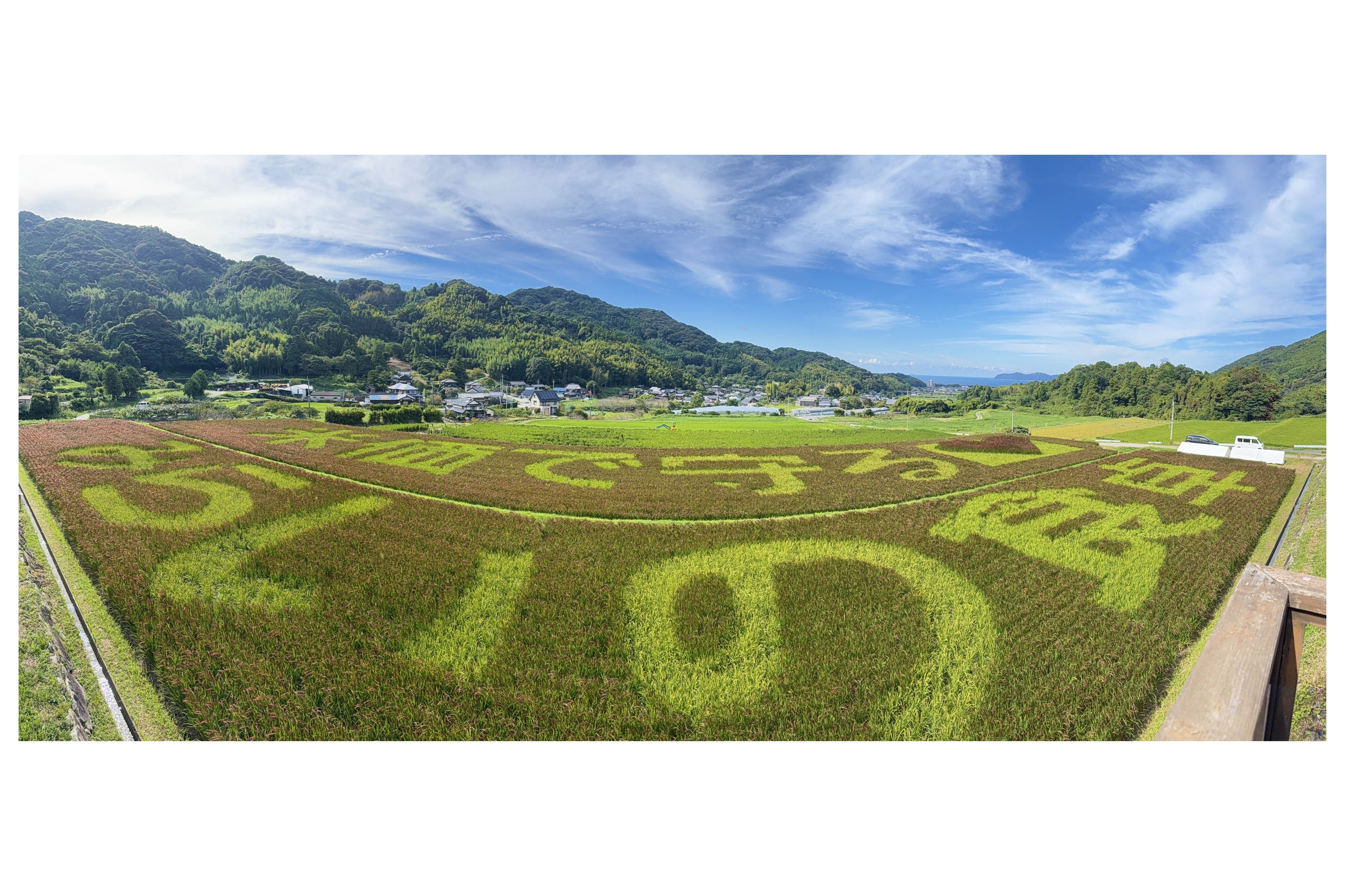 の画像
