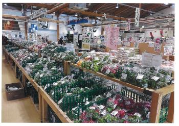 伊都菜彩 糸島市 伊都菜彩 糸島市